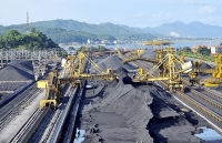 Công ty Tuyển than Cửa Ông: Hiệu quả sáng kiến cải tiến kỹ thuật