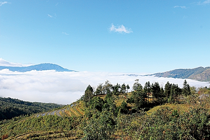 Đánh thức đại ngàn Y Tý danh thuc dai ngan y ty