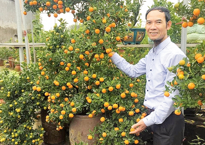 nghe nhan bui the manh ben chat tinh yeu voi quat