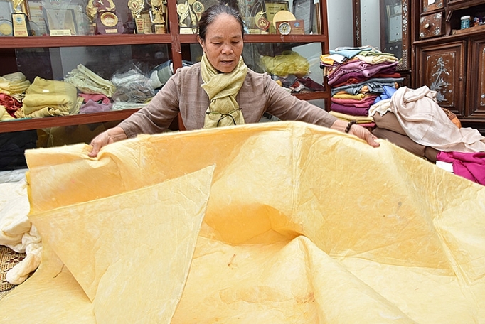 Nghệ nhân Phan Thị Thuận: Biến ý tưởng độc đáo thành hiện thực nghe nhan phan thi thuan bien y tuong doc dao thanh hien thuc