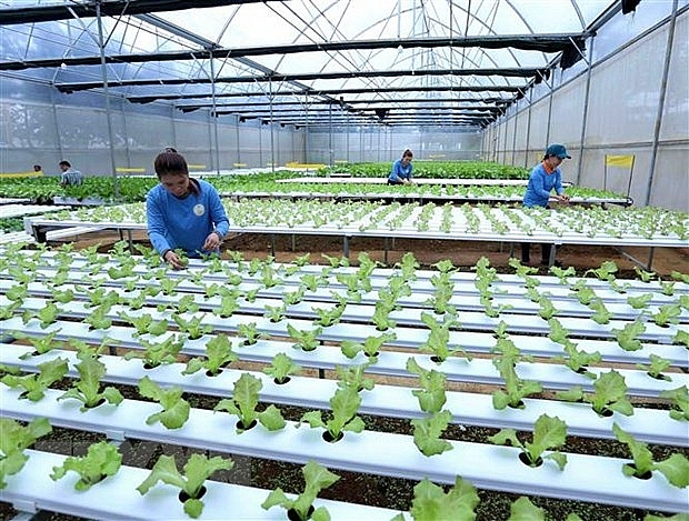 luat trong trot co hieu luc gan san xuat voi che bien nong san