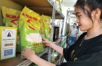 Gạo ngon nhất thế giới ST25 khan hàng trước Tết