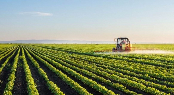 xuat khau nong san cua eu sang my tang vot truoc con bao thue quan