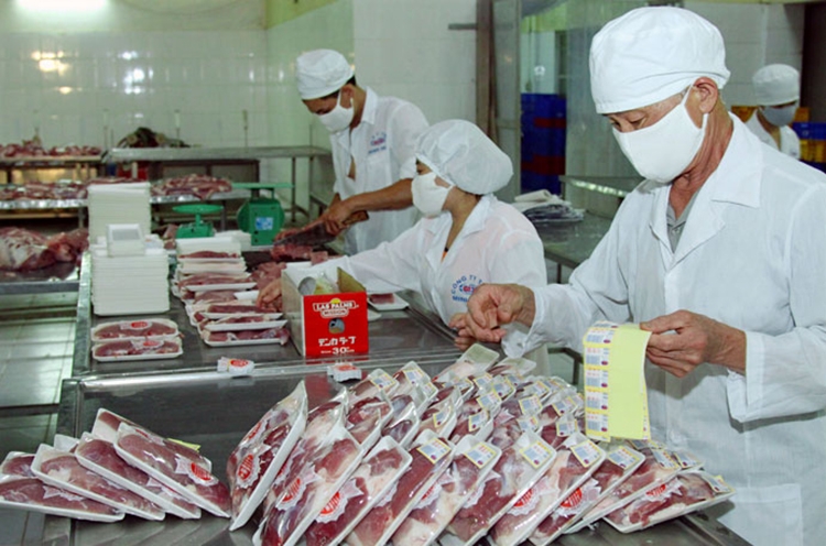 Hà Nội triển khai Tháng hành động vì an toàn thực phẩm năm 2021