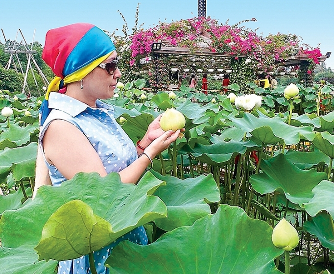 Ngày Tết thăm Thung lũng Hoa ngay tet tham thung lung hoa