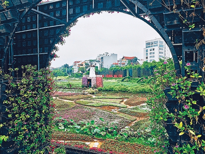 Ngày Tết thăm Thung lũng Hoa ngay tet tham thung lung hoa