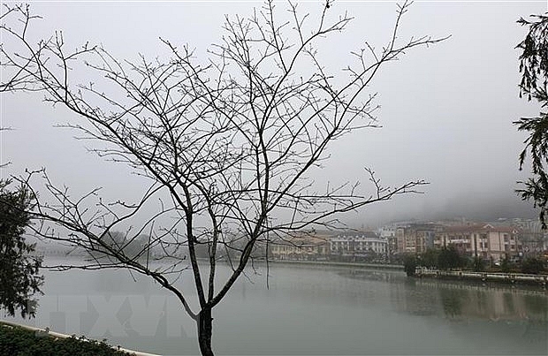 Mùng 1 Tết, miền Bắc rét đậm, vùng núi xuất hiện băng giá mung 1 tet mien bac ret dam vung nui xuat hien bang gia