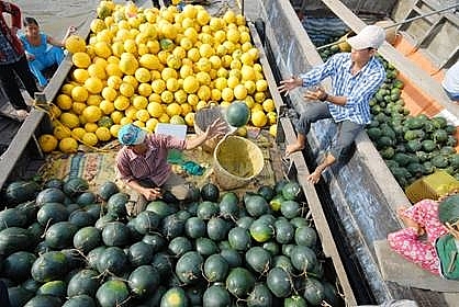 Tìm kênh phân phối bền vững cho nông sản Tìm kênh phân phối bền vững cho nông sản