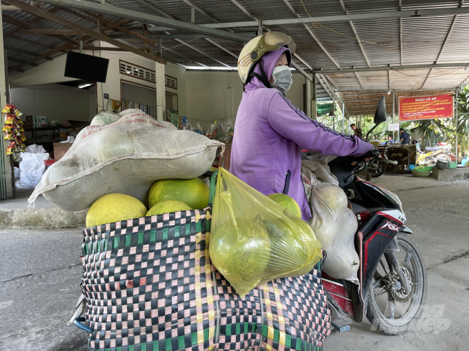 Nhà vườn chở bưởi ra chợ tết. Ảnh: HP.