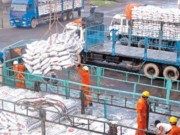 Xuất khẩu - Những gam màu đan xen