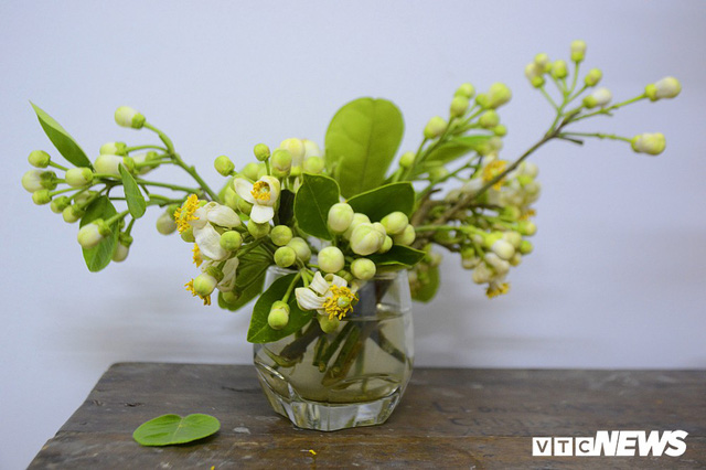 Hoa bưởi đầu mùa, giá tới 300.000 đồng/kg vẫn hút khách Hà Nội - Ảnh 14. Hoa bưởi đầu mùa, giá tới 300.000 đồng/kg vẫn hút khách Hà Nội - Ảnh 14.