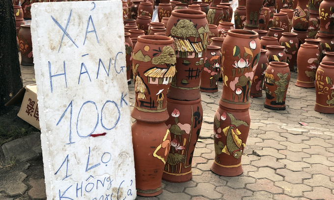 cay canh ha noi dua giam gia de xa hang