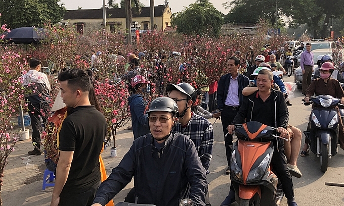 cay canh ha noi dua giam gia de xa hang