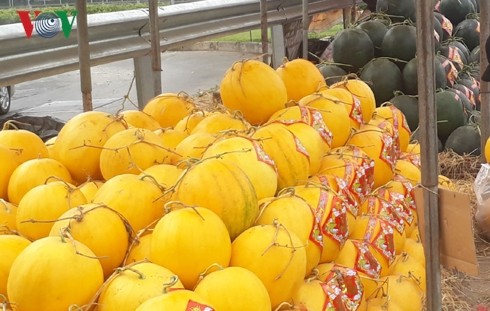 Thị trường hoa quả nhộn nhịp cuối năm, mâm ngũ quả tăng giá thi truong hoa qua nhon nhip cuoi nam mam ngu qua tang gia