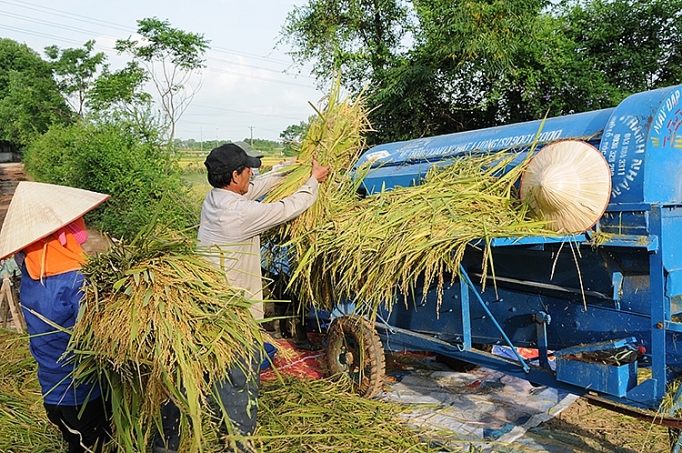 Hơn 60% hợp tác xã hoạt động hiệu quả hon 60 hop tac xa hoat dong hieu qua