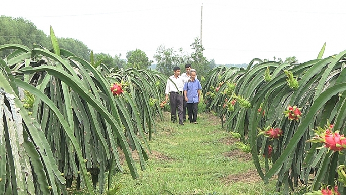Đồng Nai: Đi đầu trong xây dựng nông thôn mới dong nai di dau trong xay dung nong thon moi