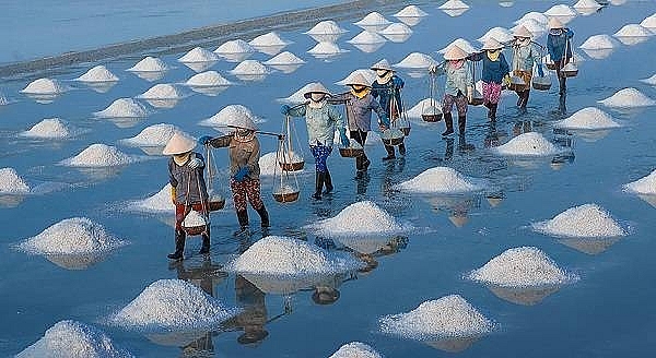 gia muoi cao diem dan ben tre thu nhap kha