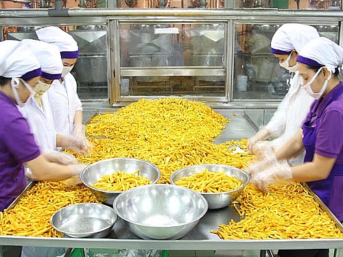 Chủ động giảm thiểu tổn thất kinh tế chu dong giam thieu ton that kinh te