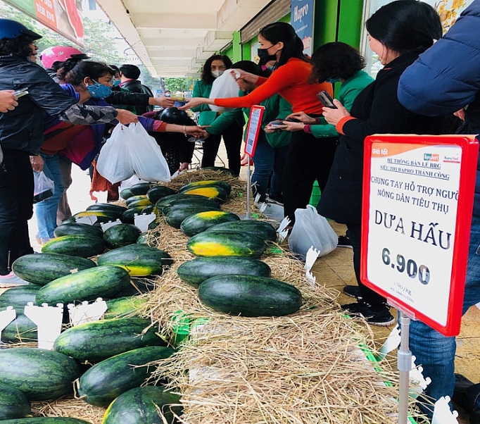 Hệ thống bán lẻ BRG hỗ trợ nông dân tiêu thụ trên 200 tấn dưa hấu he thong ban le brg ho tro nong dan tieu thu tren 200 tan dua hau