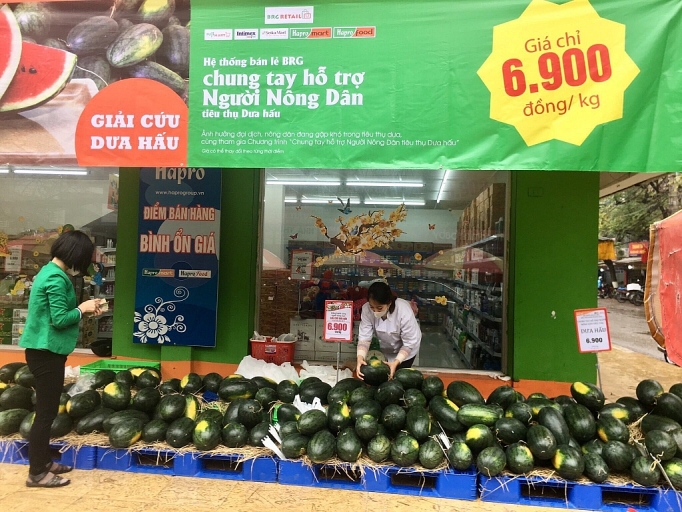 hapro tai co cau de tap trung phat trien cac linh vuc cot loi co hieu qua