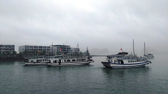 quang ninh ban hanh quy trinh don tau bien gan voi cong tac phong chong dich covid 19