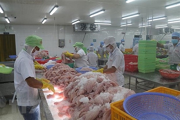 Chế biến cá da trơn xuất khẩu tại Tiền Giang