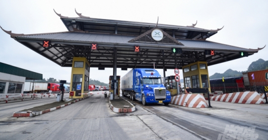 Chuyên nghiệp hóa giảm rủi ro xuất khẩu nông sản sang Trung Quốc Chuyên nghiệp hóa giảm rủi ro xuất khẩu nông sản sang Trung Quốc