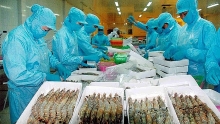 Nhiều doanh nghiệp Việt Nam tham gia hội chợ thủy sản hàng đầu thế giới