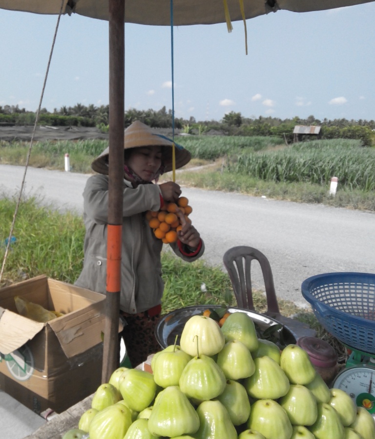 Đầu mùa 1kg thanh trà có giá từ 40.000 - 55.000 đồng.
