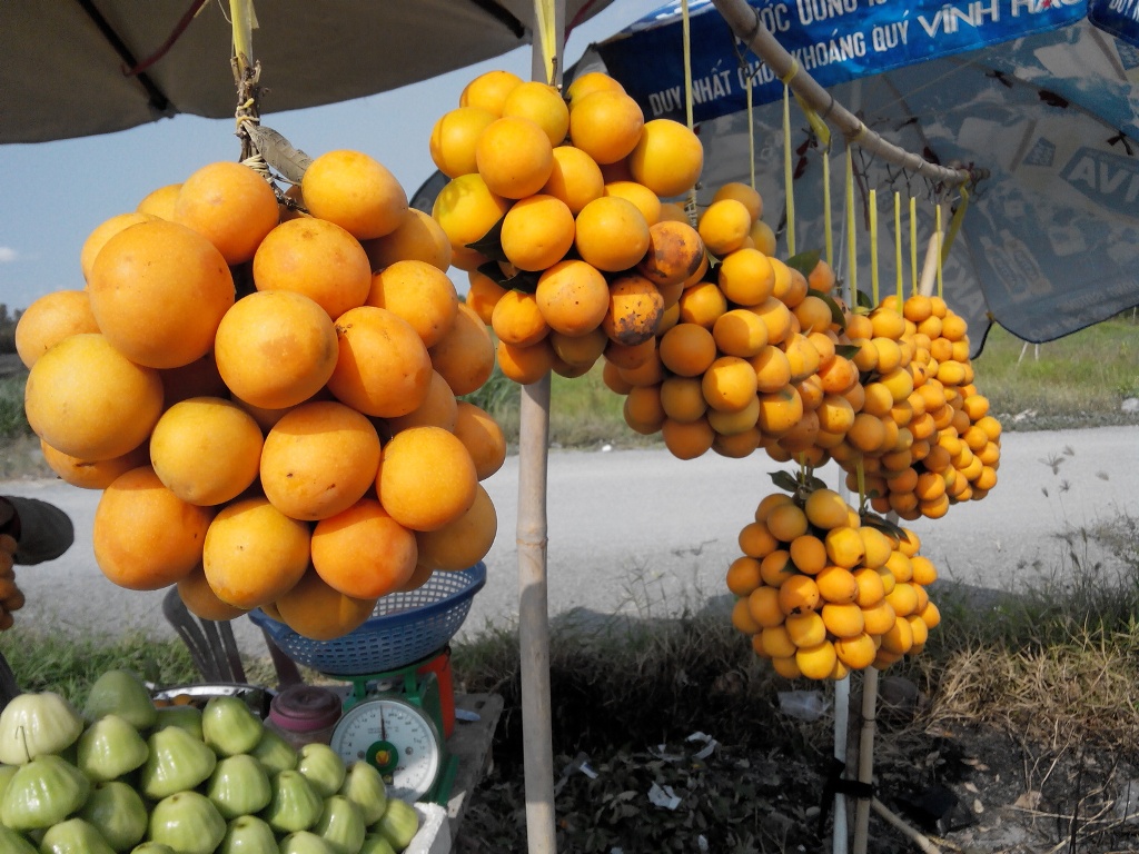 Khoảng giữa tháng 4 là hết mùa thanh trà.