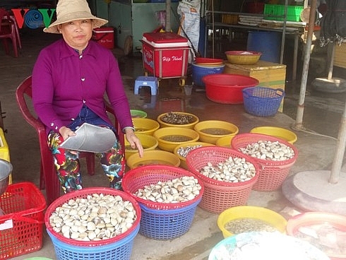 Tiền Giang: Ngao trúng giá nhưng mất mùa tien giang ngao trung gia nhung mat mua