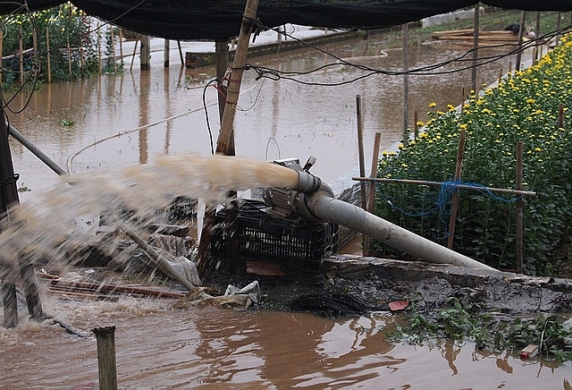 gia hoa 83 giam sau dan tay tuu dau dau vi dich covid 19