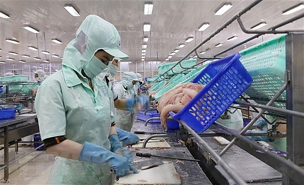 Ngành hàng cá tra trước cơ hội mở rộng, tìm kiếm thị trường mới nganh hang ca tra truoc co hoi mo rong tim kiem thi truong moi