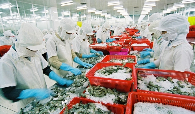 thuy san cam cu cho thi truong hoi phuc