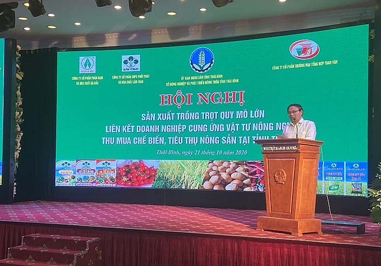Mô hình sử dụng phân bón Lâm Thao khép kín trên cây lúa tại xã Vũ Lạc, huyện Kiến Xương, tỉnh Thái Bình
