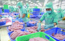 Xuất khẩu cá tra tiếp tục tăng tại 3 thị trường chủ lực