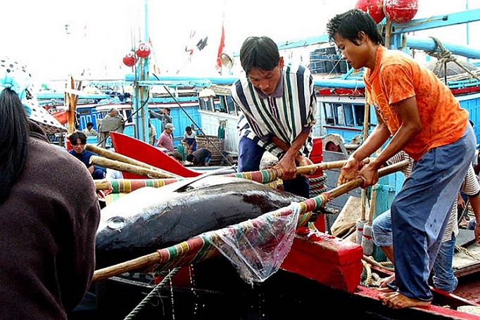 Nỗ lực gỡ “thẻ vàng” của EC no luc go the vang cua ec