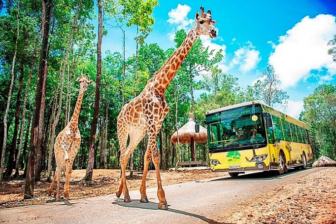 lien tiep thu hiem sinh no tai ngoi nha dong vat nam chau vinpearl safari