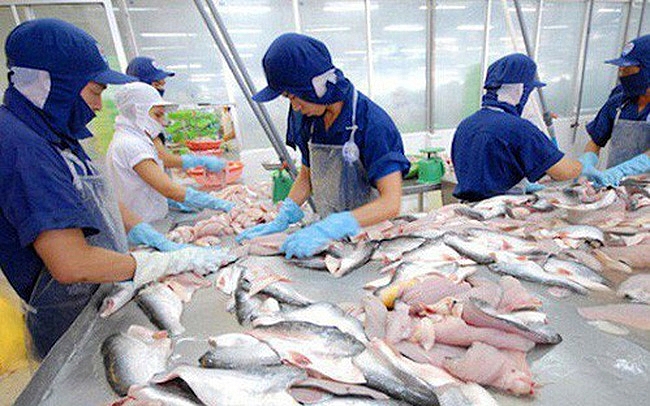 gia ca tra tai dong bang song cuu long dao chieu