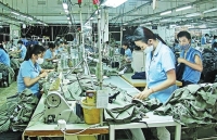 Xuất khẩu sang Canada: Bứt phá nhờ CPTPP