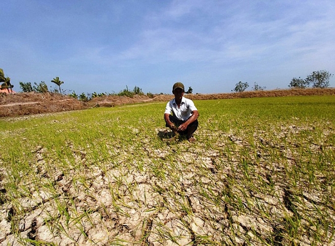 thu tuong duyet 530 ty dong cho 8 tinh chong han han xam nhap man