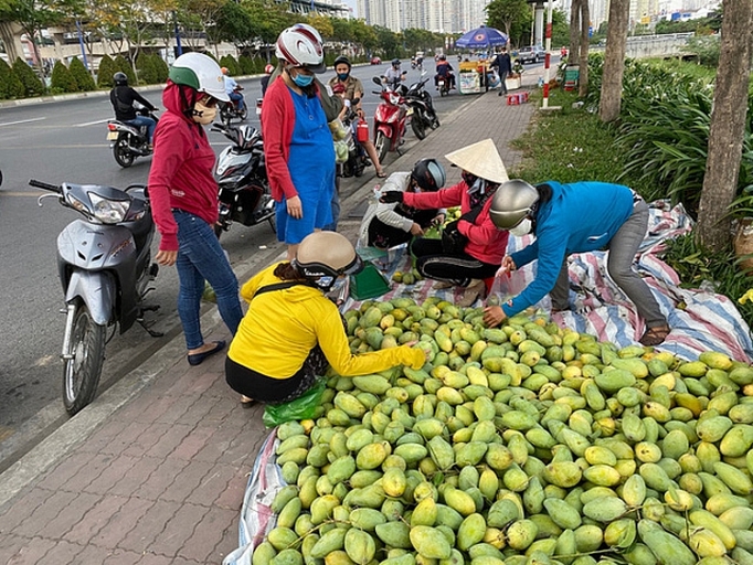 Xoài vào mùa, tràn xuống lề đường, giá rẻ xoai vao mua tran xuong le duong gia re