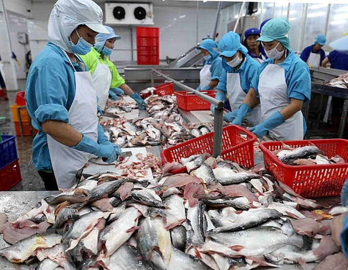 nganh hang ca tra giu duong boi vuot qua giai doan kho khan