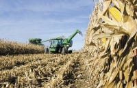 Giá nguyên liệu thức ăn chăn nuôi sẽ giảm mạnh