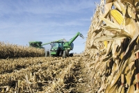 Việt Nam nhập khẩu thức ăn chăn nuôi gia súc ở các thị trường nào?