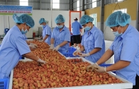 Ngành nông, lâm, thủy sản: Tìm cơ hội mới