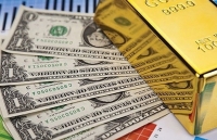 USD tăng phi mã, giá vàng loạn nhịp