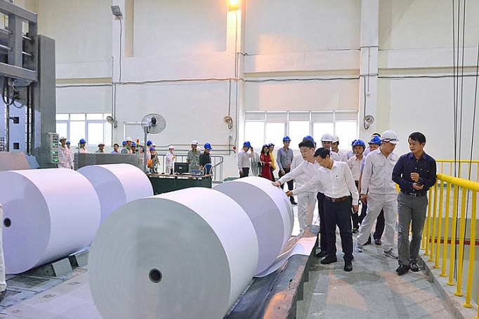 Cân bằng lợi ích kinh tế và môi trường: Bài toán “sống còn” của ngành Giấy can bang loi ich kinh te va moi truong bai toan song con cua nganh giay