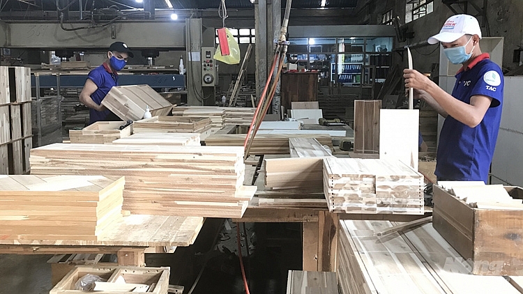 Kiểm soát chặt gỗ nguyên liệu nhập khẩu