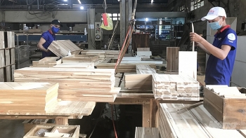 Giảm thiểu rủi ro trong nhập khẩu gỗ